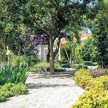 Queen's Garden * Oporto