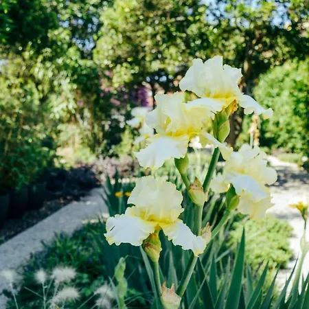 Queen's Garden Πόρτο