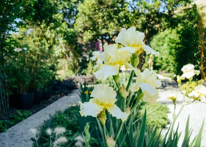 Queen's Garden 波尔图