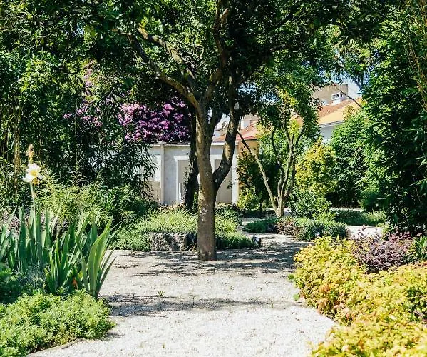 Queen's Garden Ostello Oporto