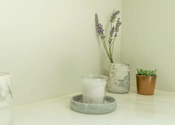 Queen's Garden * 波尔图