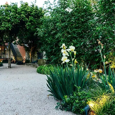 Queens Garden Hostel